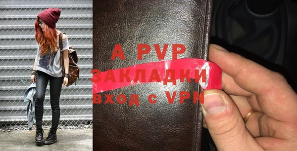 хмурый Абаза