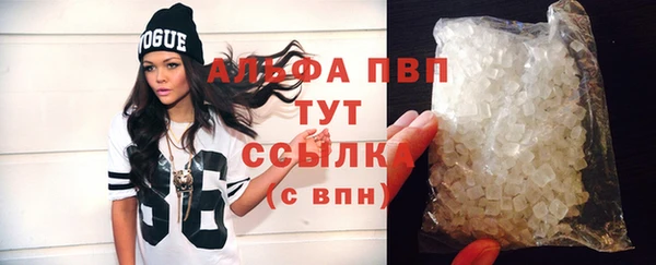 хмурый Абаза