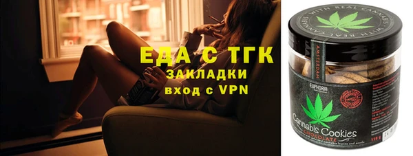 хмурый Абаза
