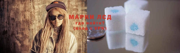 хмурый Абаза