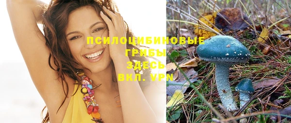 ГАЛЛЮЦИНОГЕННЫЕ ГРИБЫ Абинск