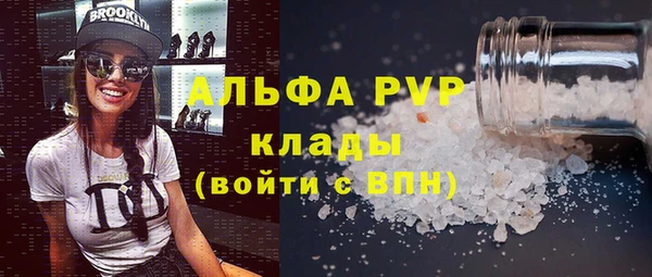 хмурый Абаза