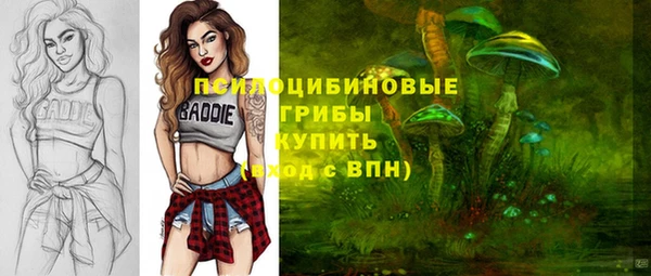ГАЛЛЮЦИНОГЕННЫЕ ГРИБЫ Абинск